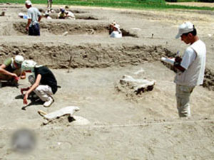 Anadolu'daki Höyükler